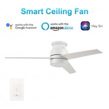  VWGS-523B-L11-W1-1 - Raiden 52-inch-inch Indoor Smart Ceiling Fan with LED Light Kit and Wall Control, Works with Google